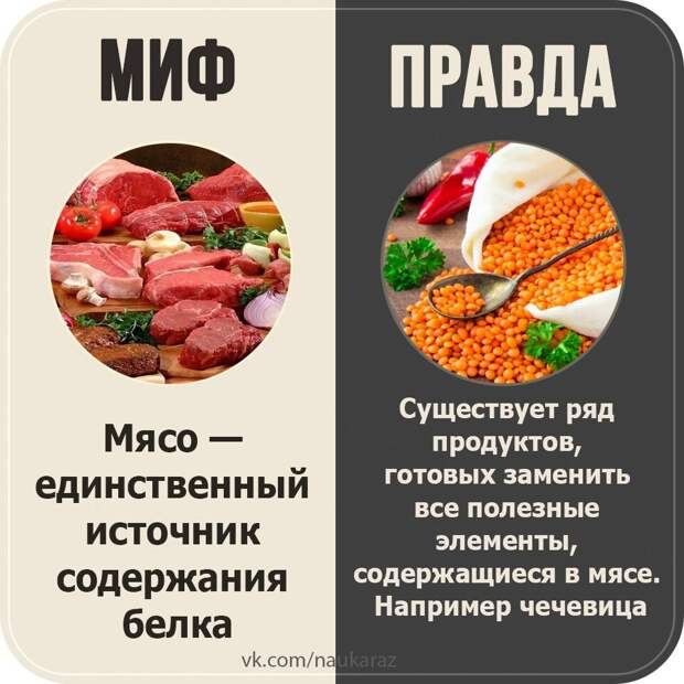 Мифы и правды.