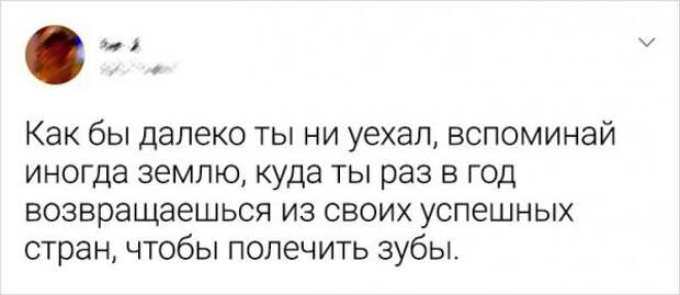 Подборка забавных твитов