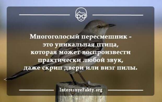 Интересные факты из жизни людей. Интересные факты жизни