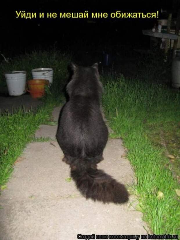 Веселая котоматрица