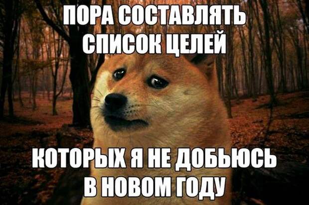 Шутки, мемы и картинки про Новый год