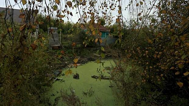 Дача / Фото: из архива amic.ru