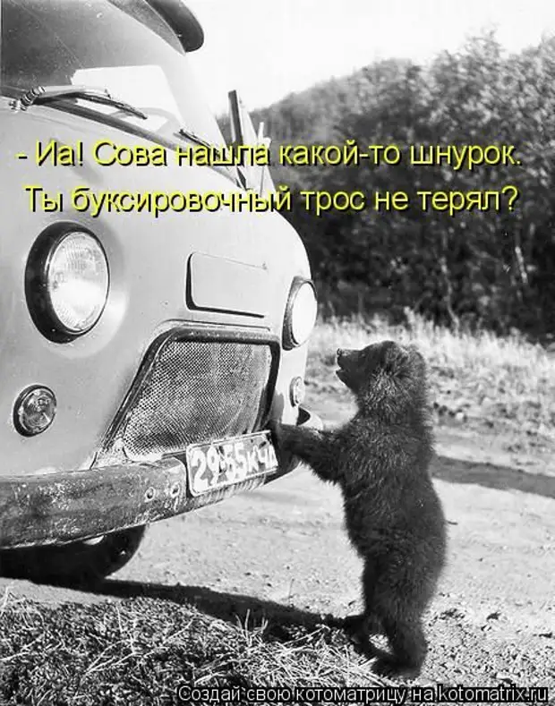 Лучшие котоматрицы