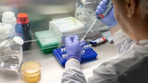 Число случаев COVID-19 в мире превысило 18 млн