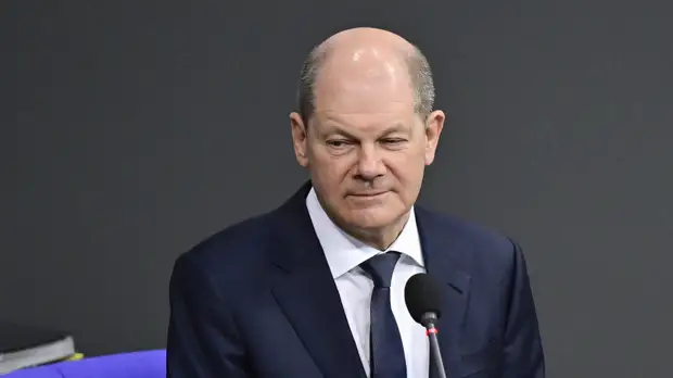 Деятели науки и политики Германии призвали Шольца прекратить поставки оружия Украине