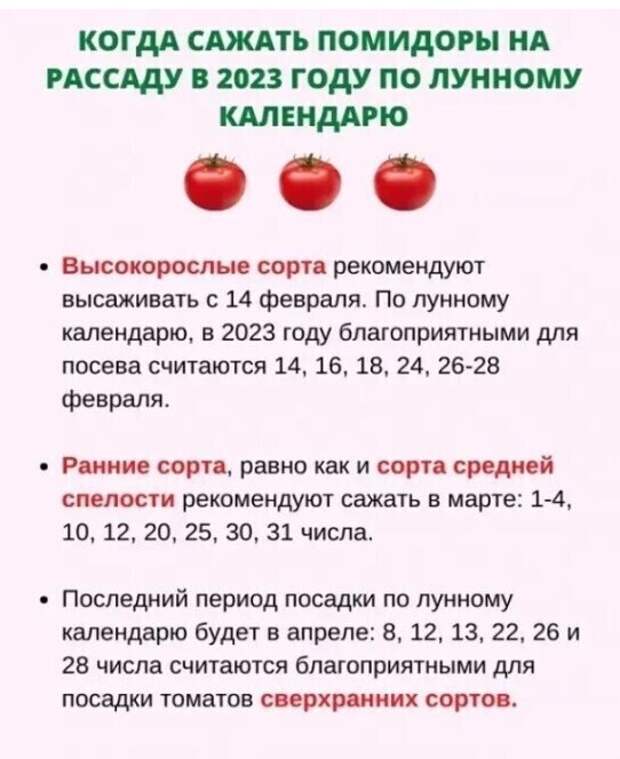 Календарь посадок 2023г