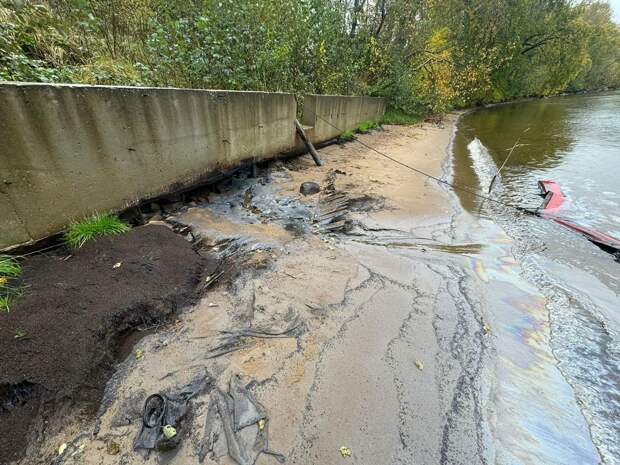 Взыскание 129 млн рублей с петербургской компании за вред почвам пересмотрят