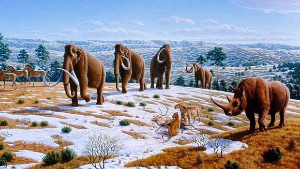 Более 200 скоплений костей древних животных найдены на окраине английского города Плимут