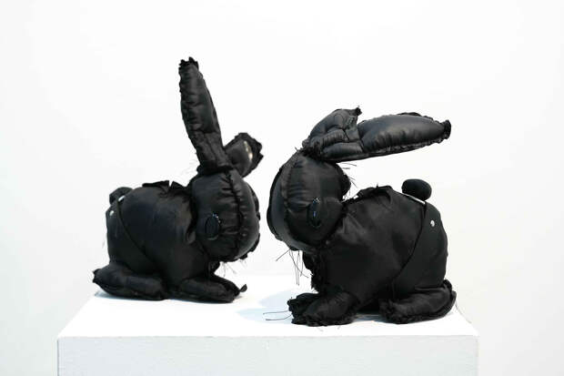 Андрей Soul, инсталляция «Размножение», 2025 год