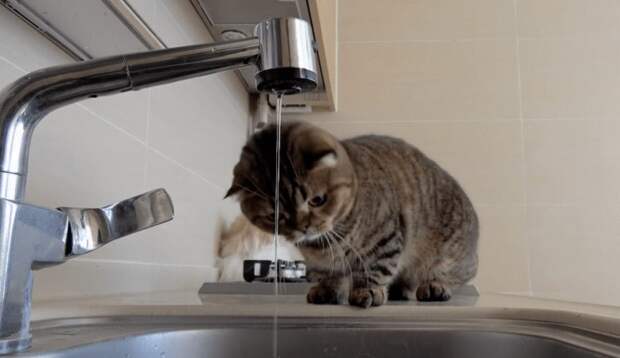 Жители Калуги пожаловались на проблемы с водой на улице, выигравшей