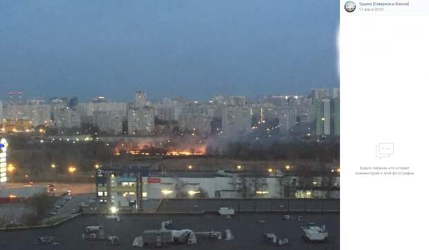 На улице Вилиса Лациса загорелся яблоневый сад
