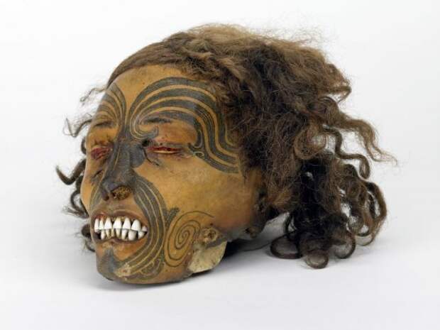 сушеные головы маори мокомокаи