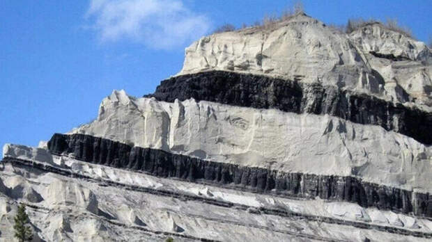 Что же такое каменный и бурый уголь? Альтернативные модели образования ископаемого топлива