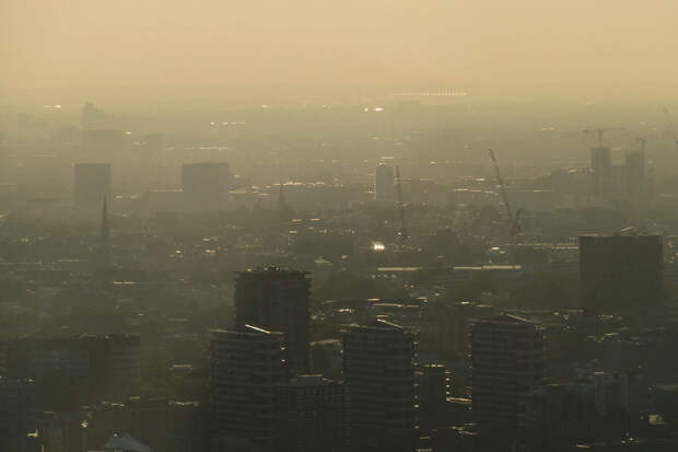 STЕ: загрязнение воздуха PM2,5 повышает риск рождения ребенка с низким весом