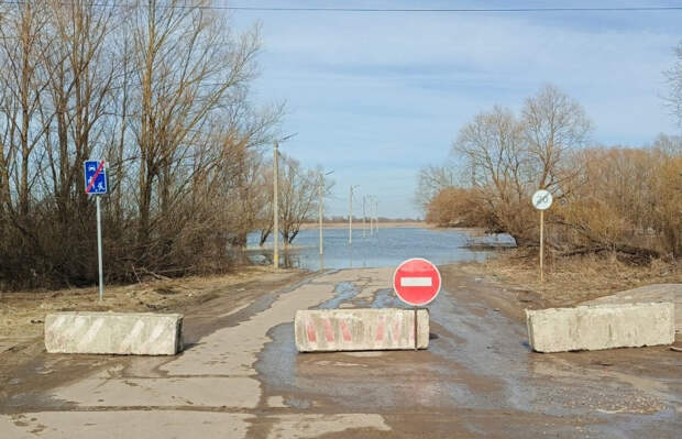 Минтранс сообщил о перекрытии дороги Касимов — Дмитриево