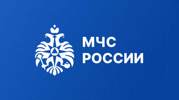 С начала года более 14 тысяч специалистов МЧС России получили дополнительное профессиональное образование