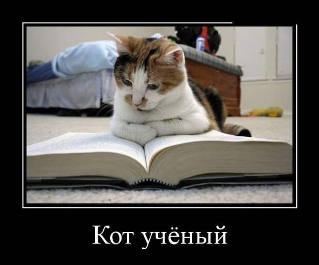 Демотиваторы