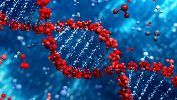 iScience: крошечный папоротник в 50 раз обогнал человека по объему ДНК