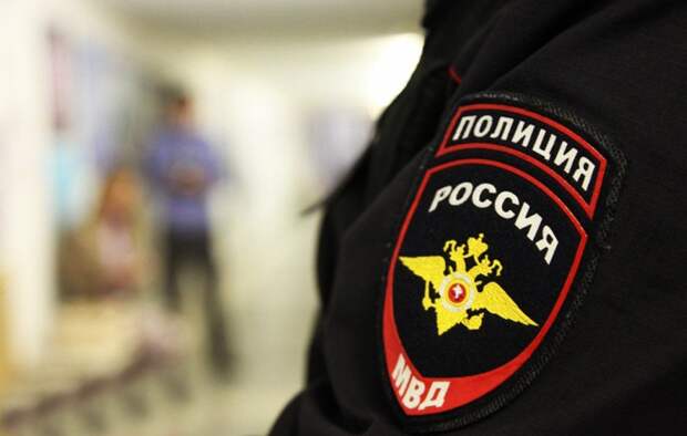 Полиция России