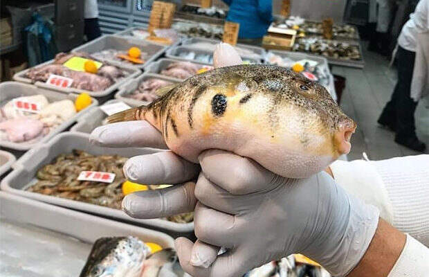 Меню смерти еда, смерть, меню, длиннопост