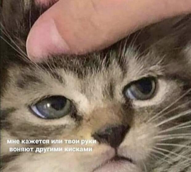 Лучшие мемы, истории и картинки из Сети
