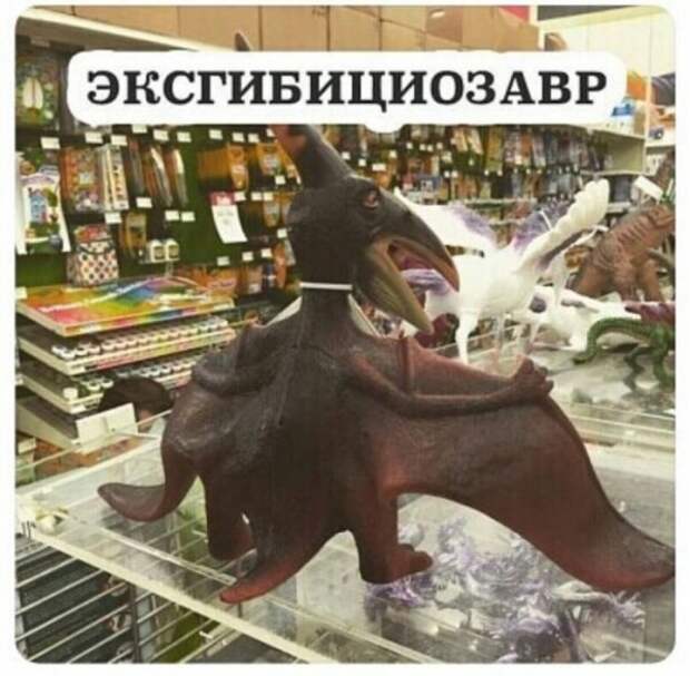 Юмор на любителя Юмор на любителя