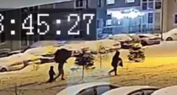 Семейная пара спилила ёлку во дворе жилого дома в Подмосковье