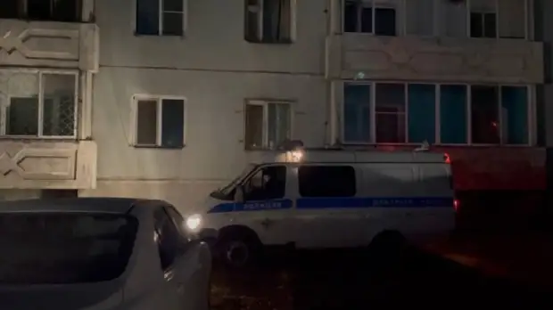 Мать погибших в Кызыле детей самовольно забрала девочек из приёмной семьи