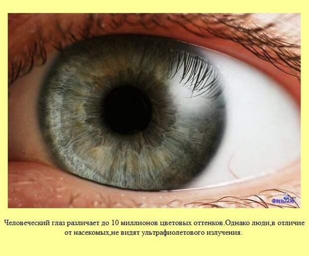 Знаете ли Вы?. Часть 13. (30 фото)