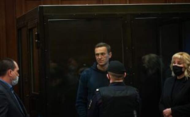 На суд Навального прибыли дипломаты из Британии и Франции