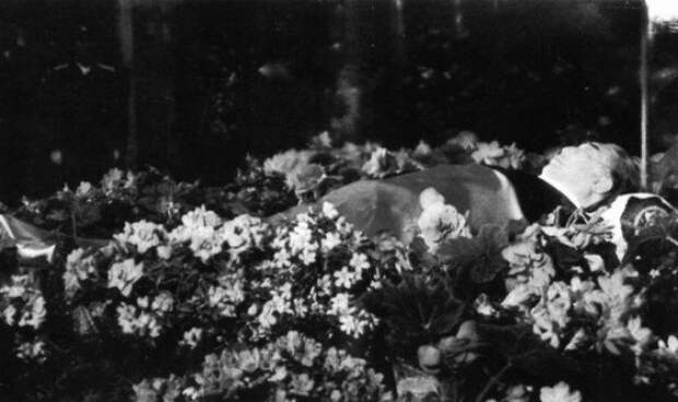 Краткий экскурс в бальзамирование мировых вождей Краткий экскурс в бальзамирование мировых вождей