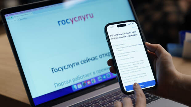 На «Госуслугах» заработал сервис проверки долгов