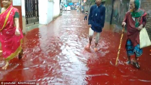 Столицу Бангладеш затопили реки крови Ид-аль-Адха, бангладеш, дакка, курбан-байрам, мусульманские традиции