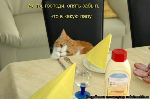 Мысли вслух :)