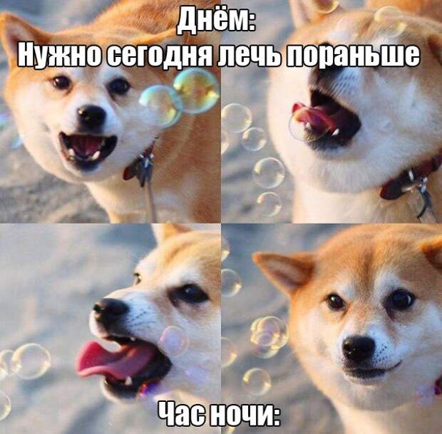 Прикольные картинки