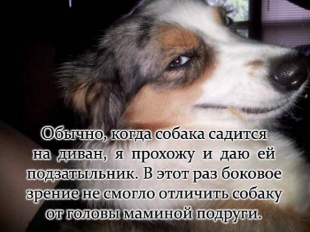 Кривые зеркала