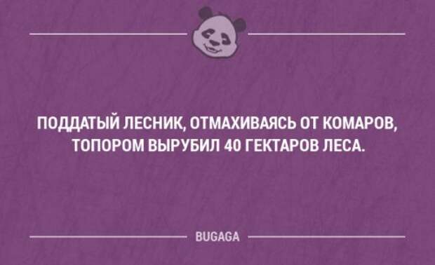 Забавные мысли и высказывания. Часть 34 (20 шт)