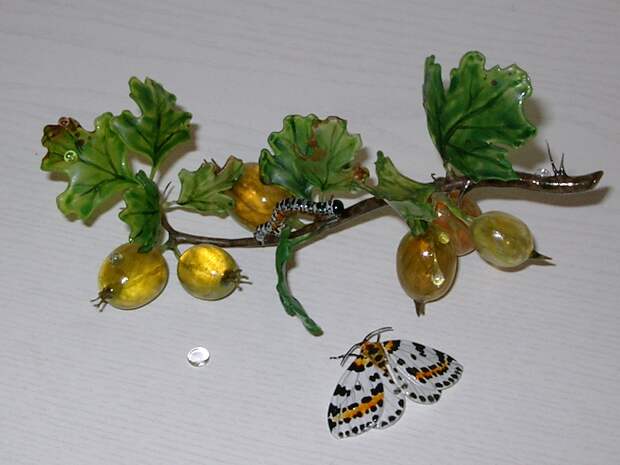 http://www.glassart-tobler.ch/bilder/Wald.und.Flur/Stachelbeeren.JPG