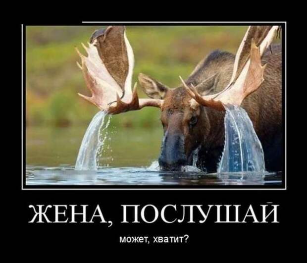 Прикольные демотиваторы с надписями. Подборка chert-poberi-dem-chert-poberi-dem-31530217102020-7 картинка chert-poberi-dem-31530217102020-7