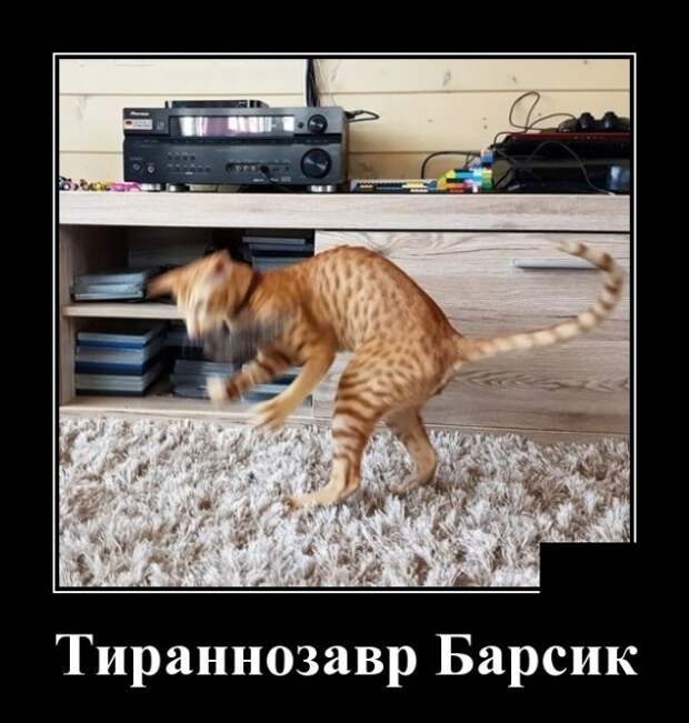 Демотиваторы (20 фото)