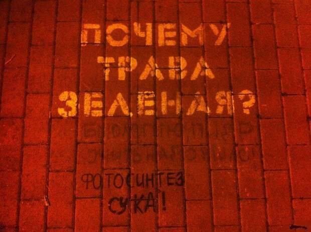 Забавные надписи и объявления Забавные надписи и объявления