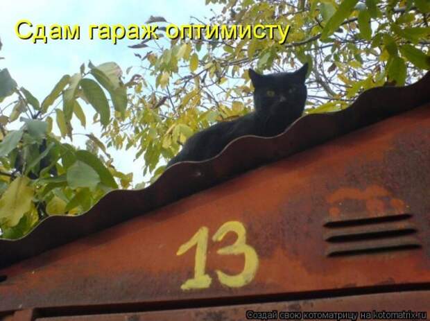 Мысли вслух :)