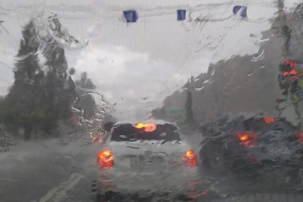 Синоптики прогнозируют в Тамбовской области сильный ветер и грозу