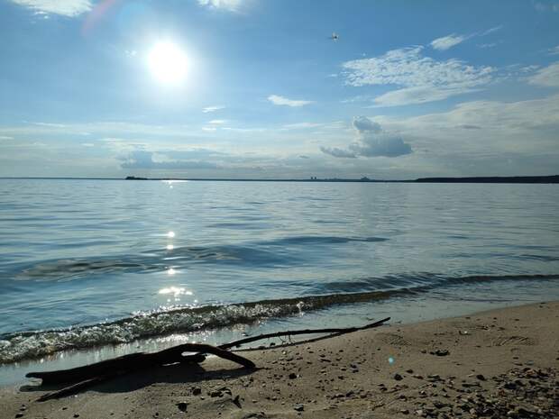 Обское море в новосибирске фото