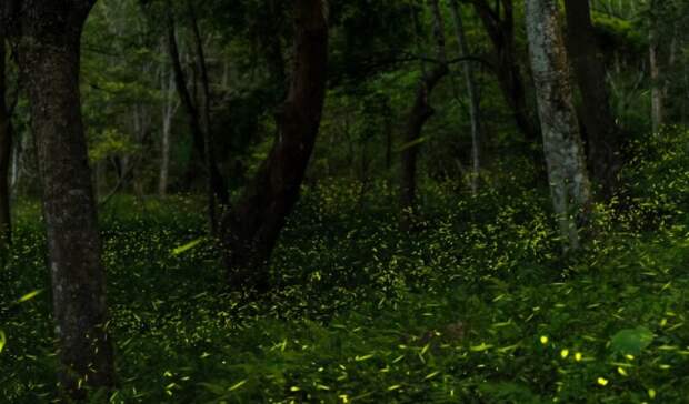 Неразгаданные тайны науки и истории