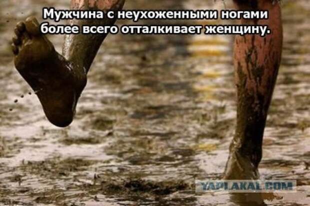 http://s00.yaplakal.com/pics/pics_original/2/7/5/182572.jpg