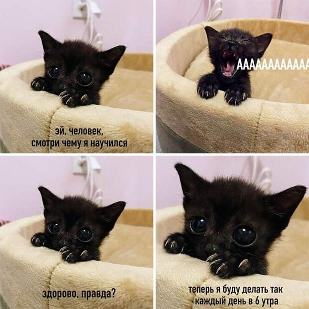Так и будет )