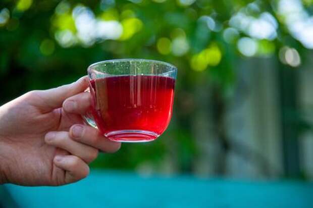 ГОСТ на компот: сколько варить ягоды, чтобы не убить цвет и витамины