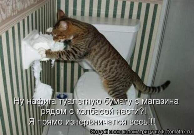 Лучшие котоматрицы недели (28 шт)