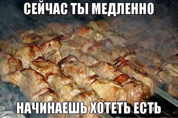 Смешные картинки с надписями прикол, юмор